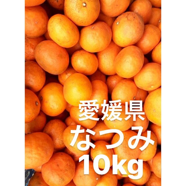 愛媛県産　なつみ　柑橘　10kg