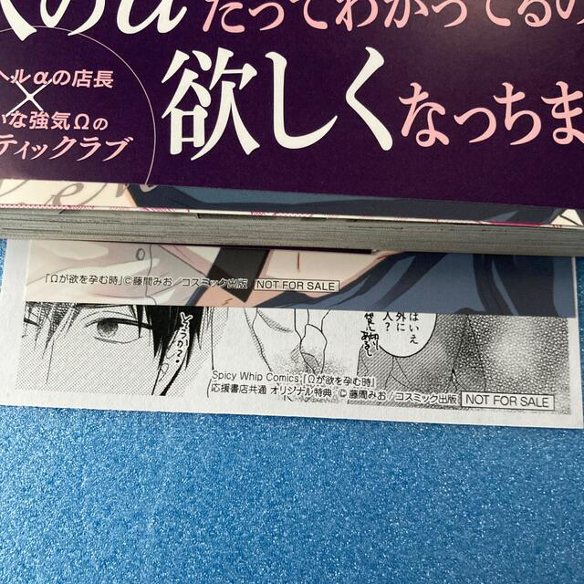 のん様専用】 Ωが欲を孕む時 親愛なるオメガへ 番になれない！ 3冊