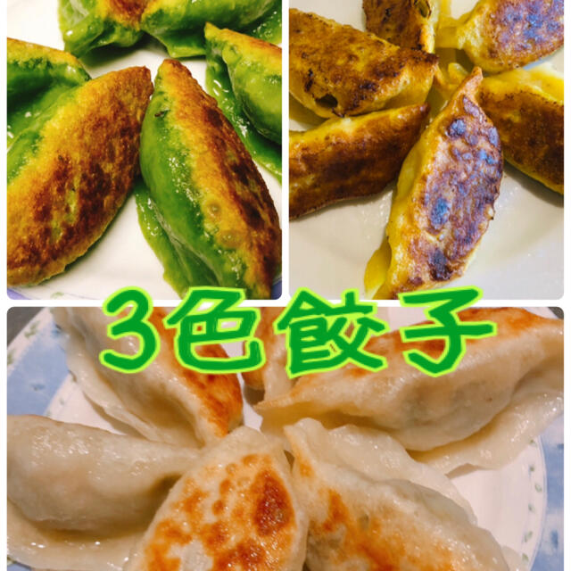 無添加3色餃子　白緑黄色　野菜の色　無着色　皮もちもち中ジューシー 食品/飲料/酒の食品(野菜)の商品写真