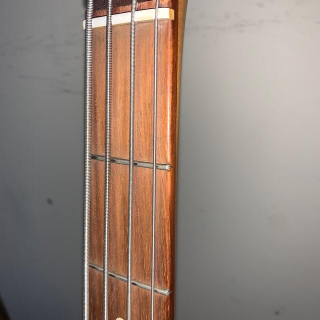 Fender(フェンダー)のFENDER Flea Jazz Bass FLEAシグネチャーモデル 楽器のベース(エレキベース)の商品写真