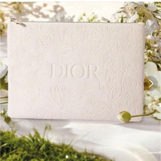 ディオール(Dior)のDIOR 限定ポーチ（大）(ポーチ)