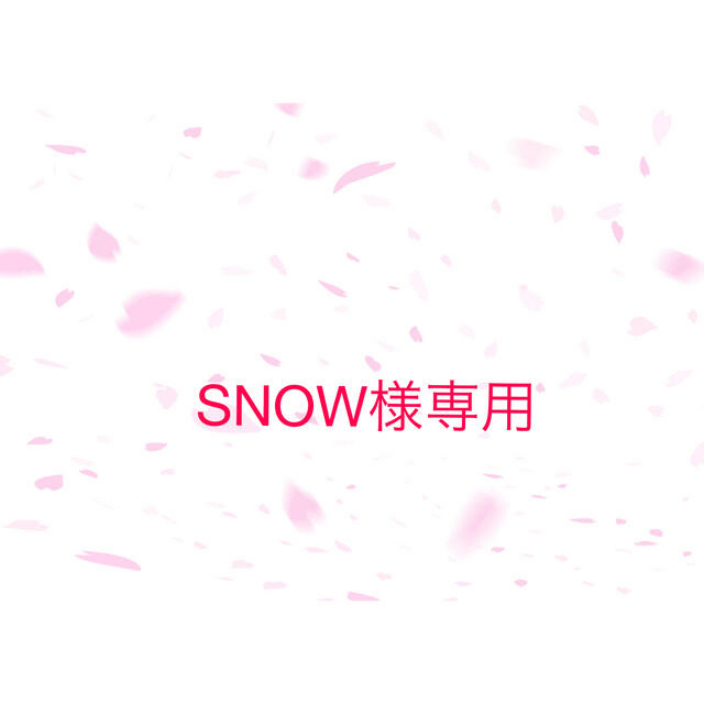 Snowさま専用です❤︎