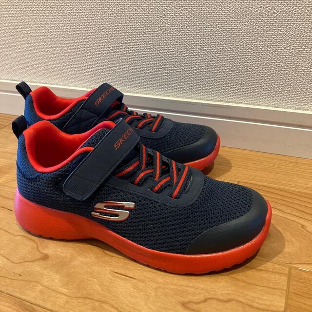 SKECHERS(スケッチャーズ)のスケッチャーズ　スニーカー　子供　靴　21cm ネイビー×レッド キッズ/ベビー/マタニティのキッズ靴/シューズ(15cm~)(スニーカー)の商品写真