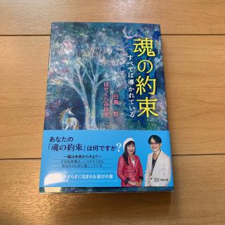 魂の約束 すべては導かれている(人文/社会)