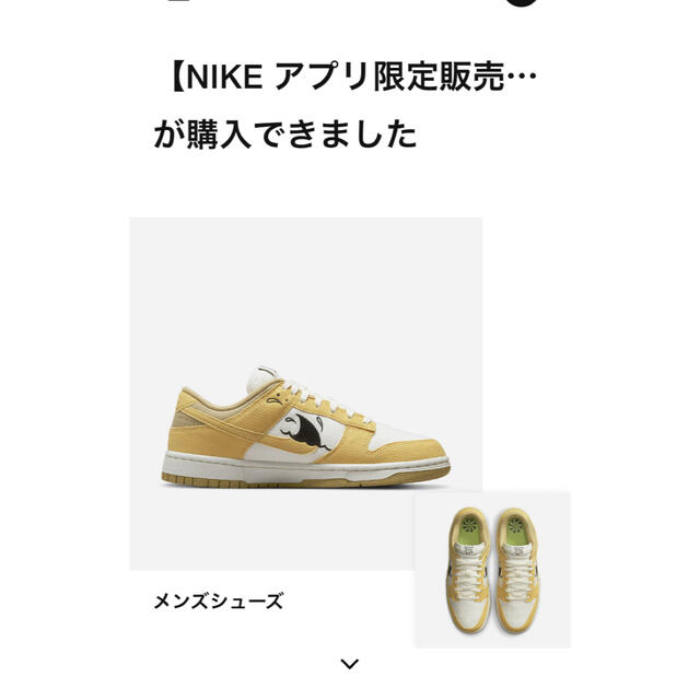 ナイキ　ダンク　ロウ　nike dunk low