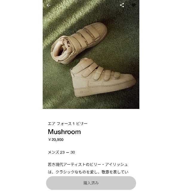 NIKE　エアフォース1　ビリー　MUSHROOM　新品未開封　【27.5cm】