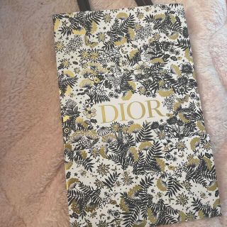 クリスチャンディオール(Christian Dior)のdiorショッパー(ショップ袋)