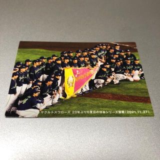 プロ野球チップス2022 チェックリスト ヤクルト(スポーツ選手)