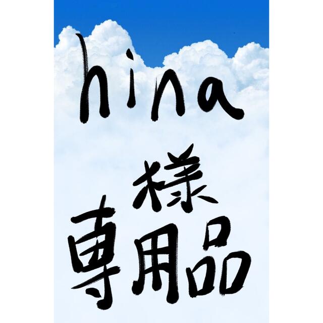 最大73%オフ! hina様専用 profiletavern.com