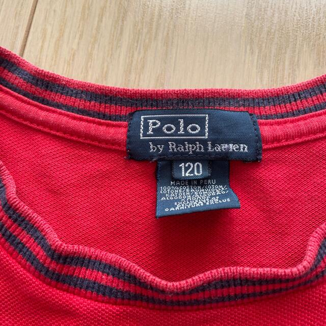 POLO RALPH LAUREN(ポロラルフローレン)のラルフ　ポロシャツ素材　Tシャツ　120 キッズ/ベビー/マタニティのキッズ服男の子用(90cm~)(その他)の商品写真