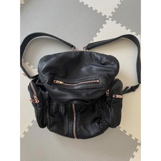 アレキサンダーワン(Alexander Wang)のAlexander Wangバッグ(ショルダーバッグ)