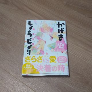 かげきしょうじょ！！ １２(少女漫画)