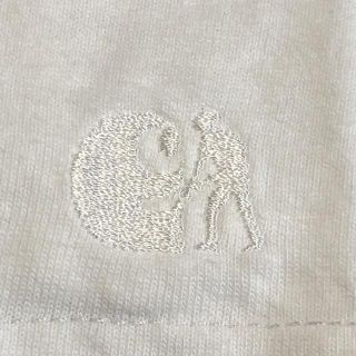 カーハート パスポート コラボ 表記M 着用感L 袖ロゴ刺繍 Tシャツ