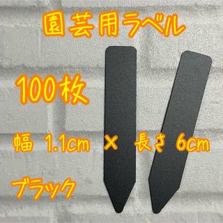 多肉植物に☺︎ 園芸用ラベル　ネームラベル　100枚　ブラック(その他)