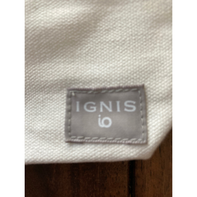 IGNIS(イグニス)のIGNISのミニバッグ レディースのバッグ(ハンドバッグ)の商品写真