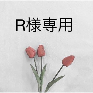 R様専用(その他)