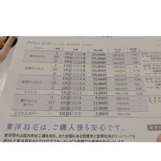 専用です。ピヨ丸東洋羽毛アズフィール2way敷布団おまけ付き