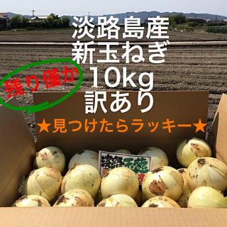 ★見つけたらラッキー★ 数量限定　淡路島産　新玉ねぎ　訳あり　10kg(野菜)