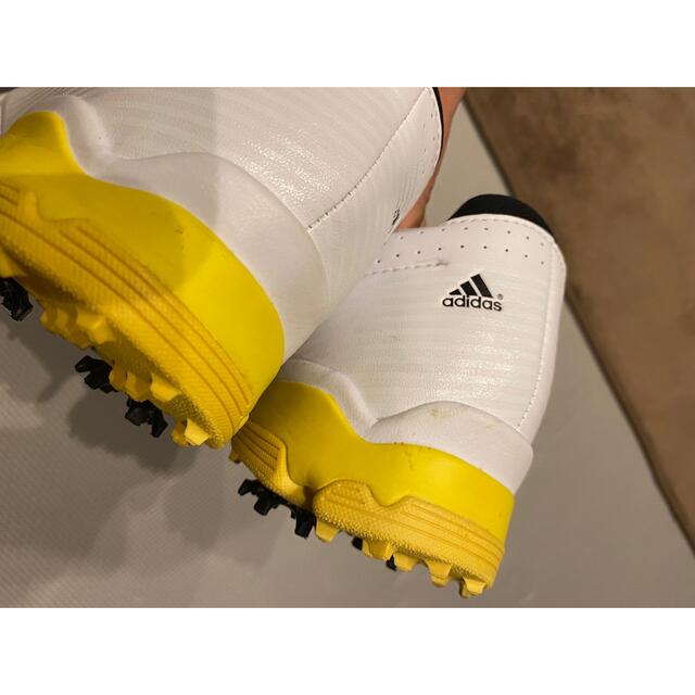 adidas(アディダス)のゴルフシューズ　スパイク　アディダス　27.5cm スポーツ/アウトドアのゴルフ(シューズ)の商品写真