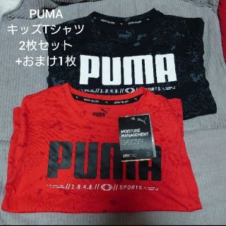 プーマ(PUMA)の新品 PUMA キッズTシャツ 120サイズ 2枚+おまけ1枚 プーマ(Tシャツ/カットソー)