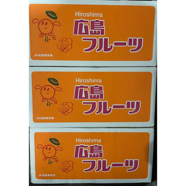 広島県産訳あり傷あり幻の春みかん 南津海(なつみ)約10kg  食品/飲料/酒の食品(フルーツ)の商品写真