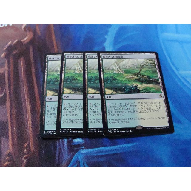 MTG 吹きさらしの荒野 日 4枚