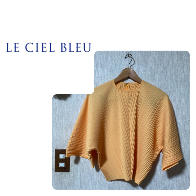 LE CIEL BLEU(ルシェルブルー)のLE CIEL BLEU ¨ドルマントップス レディースのトップス(カットソー(半袖/袖なし))の商品写真