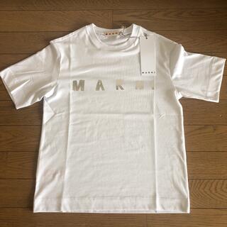 Marni - 新品タグ付 MARNI マルニ シルバーロゴ Tシャツ キッズ 8Y XS
