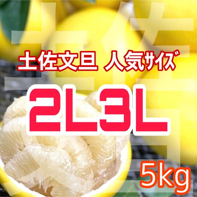 土佐文旦2L3L5kg 食品/飲料/酒の食品(フルーツ)の商品写真