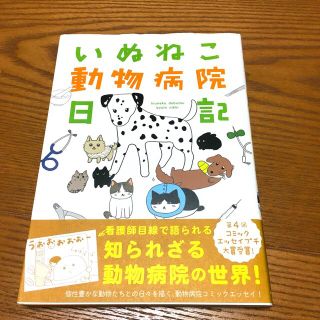 いぬねこ動物病院日記　　病院のアイドル　イケメン犬　気性の荒い子　犬　猫　看護師(その他)