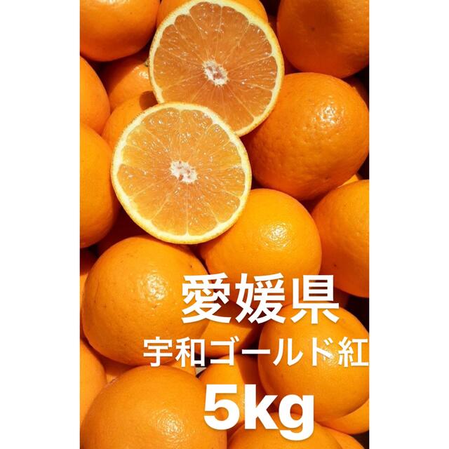 愛媛県産　河内晩柑　宇和ゴールド紅　柑橘　5kg 食品/飲料/酒の食品(フルーツ)の商品写真
