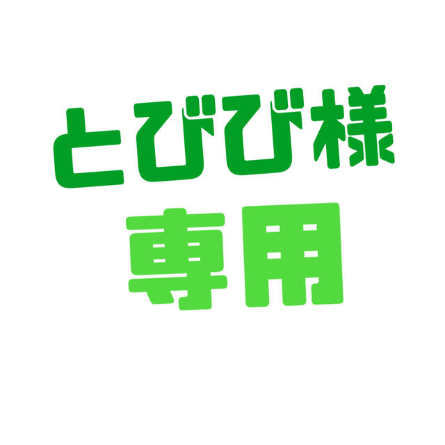 とびび様専用 その他のその他(その他)の商品写真