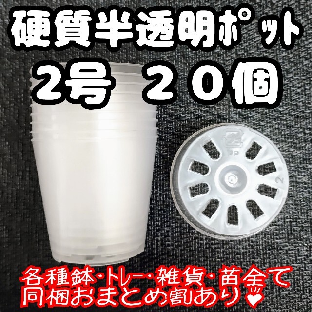 硬質半透明ポリポット 2号 6cm 20個 プラ鉢 多肉植物 プレステラ ハンドメイドのフラワー/ガーデン(プランター)の商品写真