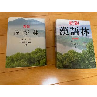 オウブンシャ(旺文社)の漢語林(語学/参考書)