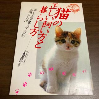 猫の正しい飼い方と暮らし方 楽しく猫と暮らすための知識としつけ(趣味/スポーツ/実用)