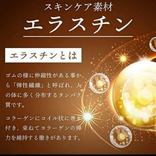 売り切り最終価格【リプサ】エラスチン (3ヶ月分) コラーゲン配合☆大容量サプリ(コラーゲン)