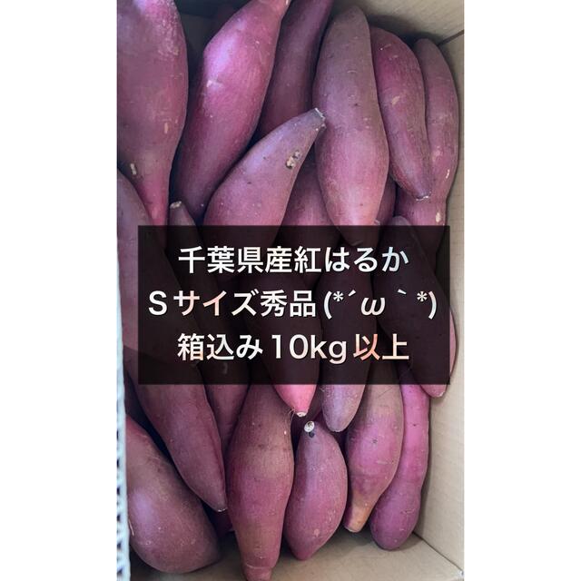 さつまいも　明日発送　4/26新入荷品　千葉県産　10kg〜蜜芋　紅はるか　秀品　野菜