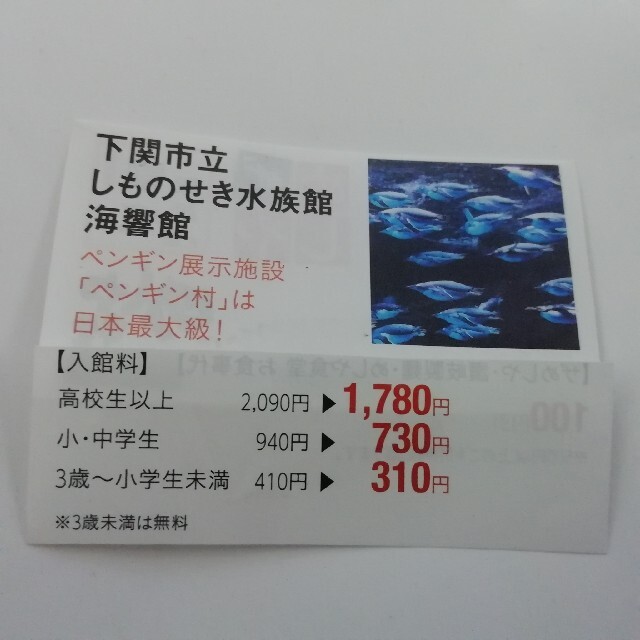 しものせき水族館　海響館　山口県　下関市　310円割引き　5名まで チケットの施設利用券(水族館)の商品写真