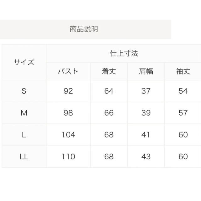 スクールシャツ白夏用 レディースのトップス(シャツ/ブラウス(長袖/七分))の商品写真