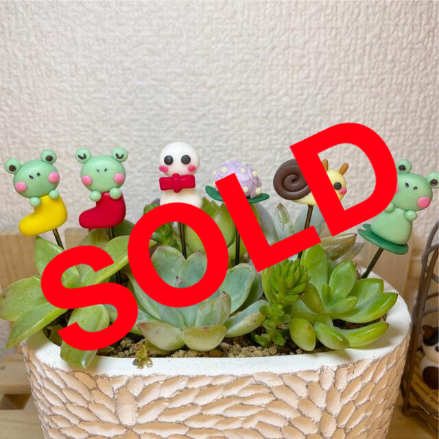 【初回限定お試し価格】 ハンドメイド ガーデンピック 梅雨ピック 多肉植物 その他 【初回限定お試し価格】 ハンドメイド ガーデンピック 梅雨ピック 多肉植物 その他