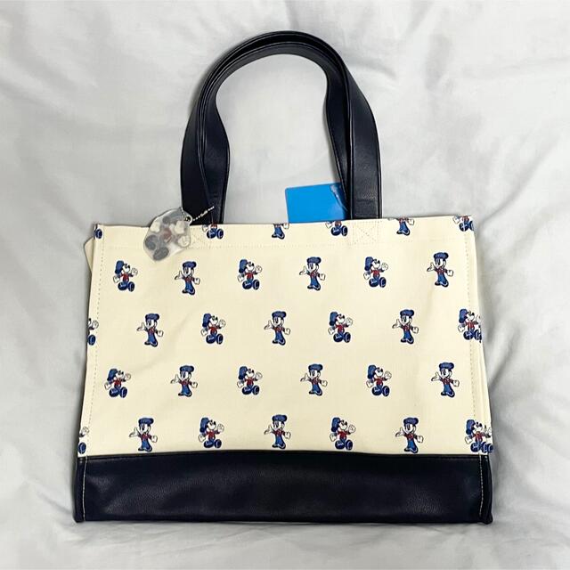 ディズニー トートバッグ ラゲッジタグ バッグアクセサリー ディズニー トートバッグ ラゲッジタグ バッグアクセサリー