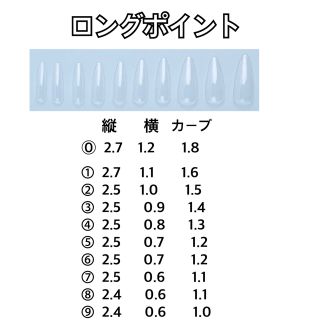 ネイルチップ10本 ハンドメイドのアクセサリー(ネイルチップ)の商品写真