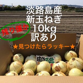 ★見つけたらラッキー★ 淡路島産　新玉ねぎ　訳あり　10kg(野菜)