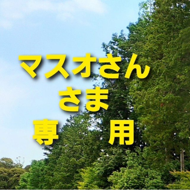 アイリスオーヤマ(アイリスオーヤマ)のリンサークリーナー スマホ/家電/カメラの生活家電(掃除機)の商品写真