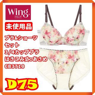 ウィング(Wing)の【華やかな植物柄☘】ウイング　ブラ&ショーツセット 3/4カップブラ(ブラ&ショーツセット)