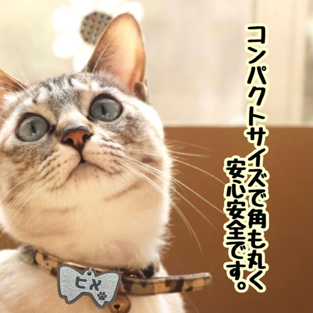 【送料無料】愛猫高級ネームプレート シルバー 名入れ無料 迷子札 猫名前 猫名札 その他のペット用品(猫)の商品写真