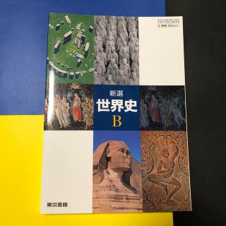 美品　新選　世界史B 高校　教科書　東京書籍(語学/参考書)