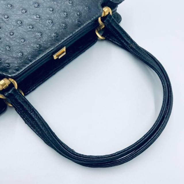 ✨超希少✨ モラビト ハンドバッグ オーストリッチ ゴールド金具