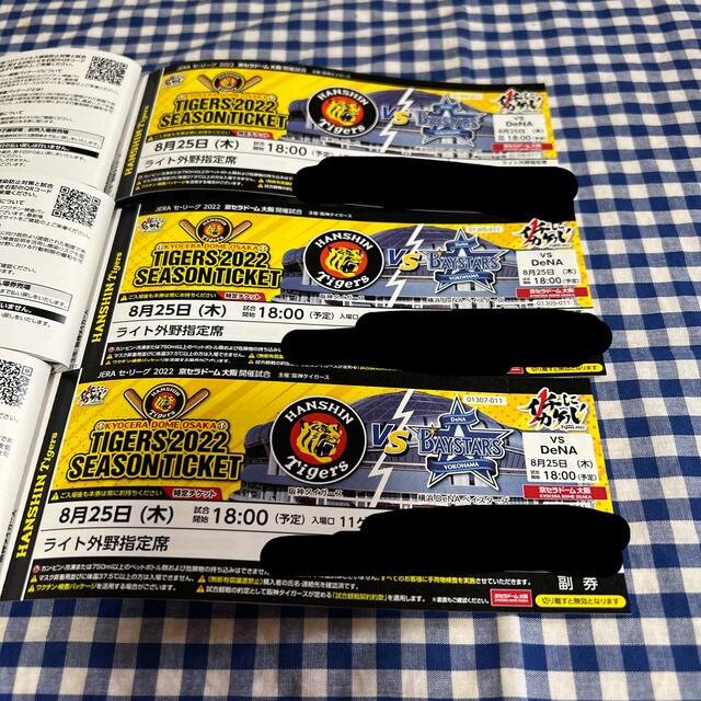 阪神タイガース 横浜DeNAベイスターズ 8月25日 ライト外野指定席 チケット チケットのスポーツ(野球)の商品写真