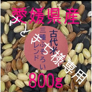 さときち様専用　古代米3種ふぞろいブレンド　愛媛県産　800ｇ(米/穀物)